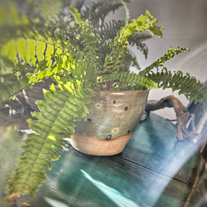 Handcrafted ceramic planter - plant pot - Calgary-made artisanal pottery by Heart of Gold Apothecary featuring unique design elements and natural glazes