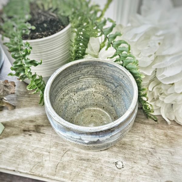 Plant Pot