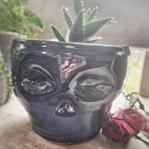 Medium Plant Pot