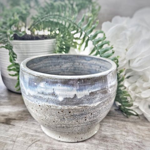 Plant Pot