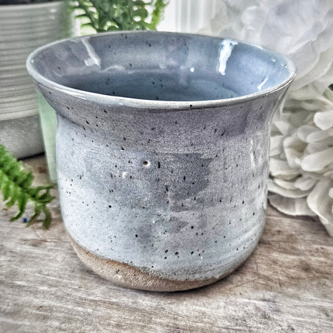 Plant Pot